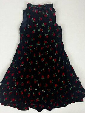 Janie & Jack Girls 6 Navy Blue Velvet Tiered Red Rose Sleeveless Dress Holiday